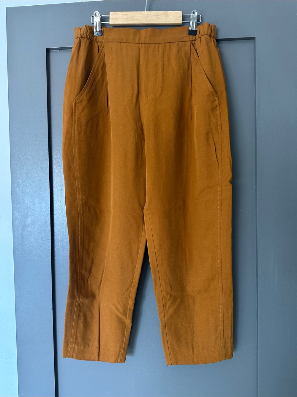 Zara Cropped Elastic-Waist Pants in Rust